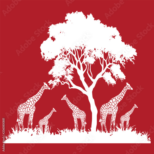 African Giraffe Family Under Acacia Tree Silhouette