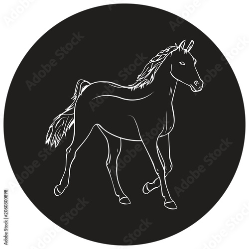 Elegant Horse Silhouette in Circular Frame
