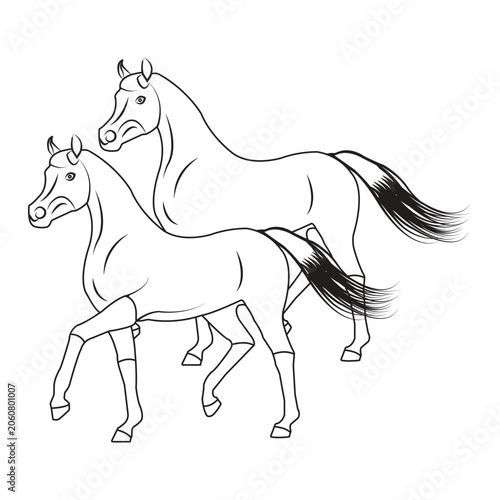 Two Running Horses Line Art Illustration, Elegant Equine Outline Design