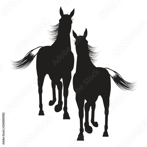 Two Running Horses Line Art Illustration, Elegant Equine Outline Design