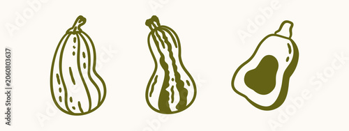 Foto Green doodle outline set of autumn gourds and butternut squash isolated on a whi
