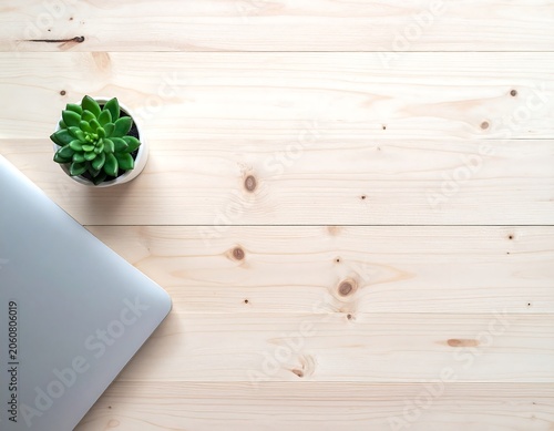 Minimalist Productivity Workspace with Closed Aluminum Laptop and Potted Succulent