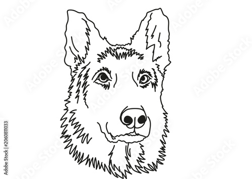 German shepherd dog line art