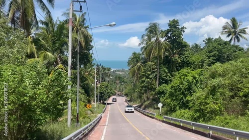 Country road winds down towards palm tree forest