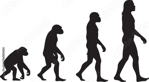 Obraz na plátně Theory of evolution of man silhouette