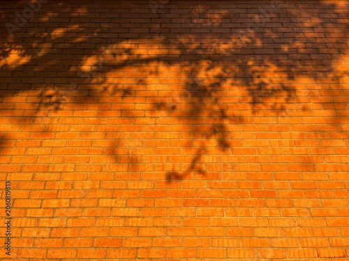 Sunny Orange Brick Wall with Tree Shadows.