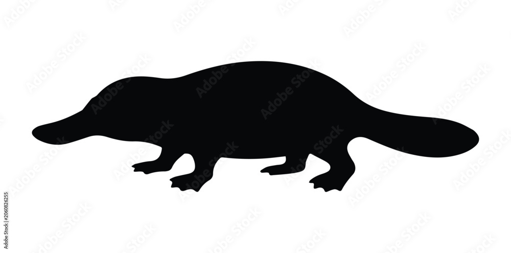 Fototapeta premium Platypus Side View Silhouette Icon Vector Unique Animal Wildlife Mammal