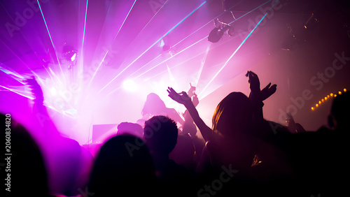 Energetic Crowd Dancing Under Purple Laser Lights at a Concert.