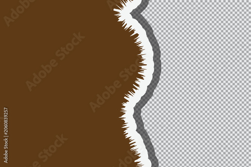 Abstract Vector Illustration of a Giraffe Spine and Skeletal Anatomy Design