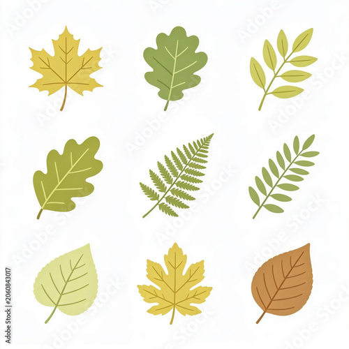 Set of Green and Yellow Leaves, Flat Botanical Illustration
