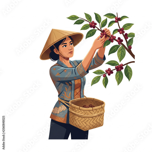 Vector Illustration of an Indonesian Female Farmer Harvesting Ripe Coffee Beans in Traditional Attire