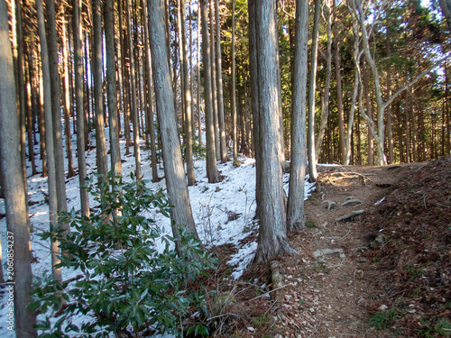 Winter in the Eastern Area of the 10 Famous Mountains of Ogose