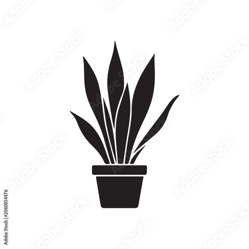 vector illustration of a snake plant