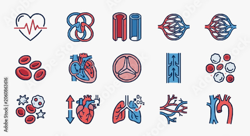 Photography Medical Icons Representing Human Circulatory and Respiratory Systems