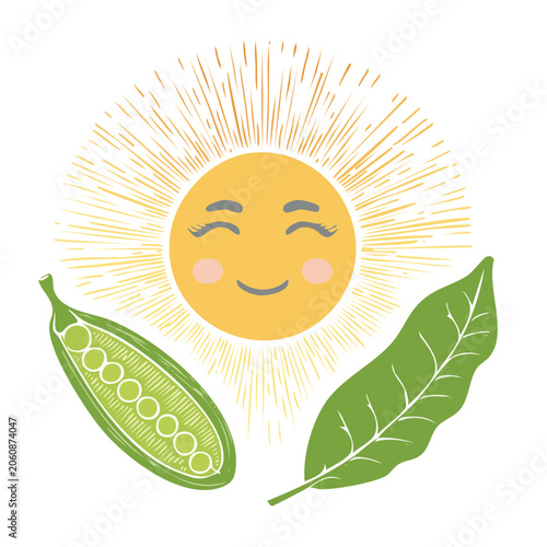 Smiling Sun with Pea Pod and Leaf Illustration