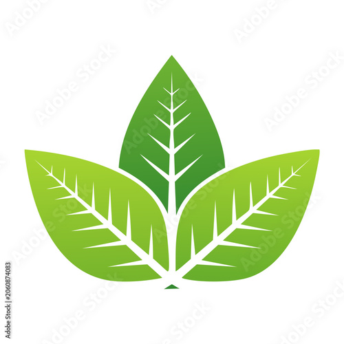 Three Green Leaves Icon on Transparent Background