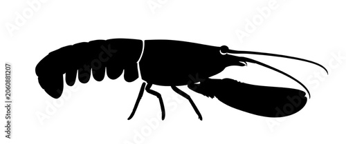 Obraz na plátně Black lobster silhouette in side view isolated on white background marine crusta