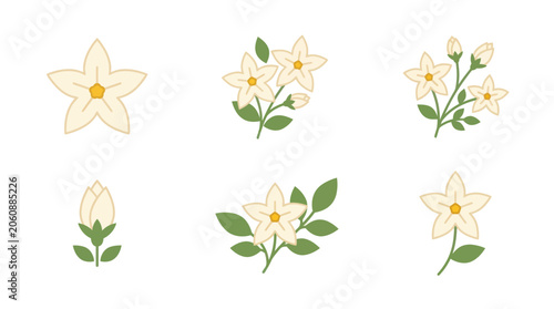 Cuadro en lienzo White jasmine flower and bud collection.