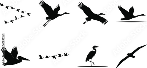 Konstfotografi Water Bird Silhouette Bundle Featuring Flying Crane Heron Pelican Migratory Floc