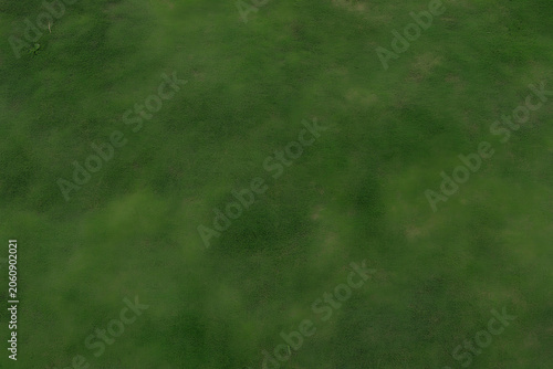 Green Grass Field