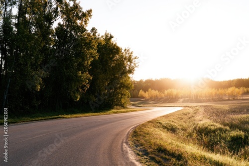 A winding road curves through sun-drenched countryside, bordered by trees