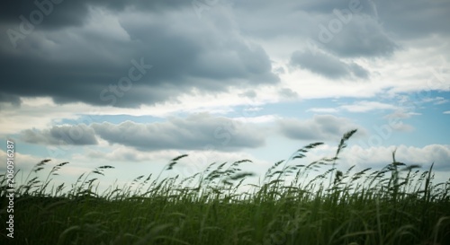 Dramatic sky over grassy field storm clouds and windblown meadow landscape