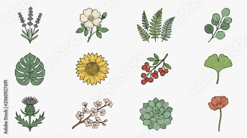 Quadro su tela Botanical Floral Line Art Collection.