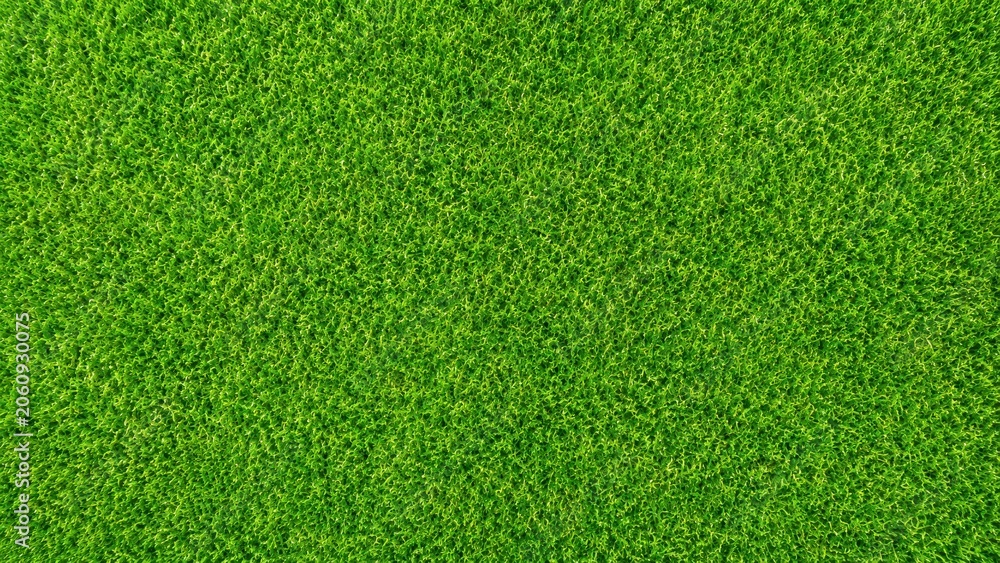 Obraz premium Top view of a lush green grass field texture for background design