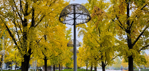 Beijing olympic forest park in autumn