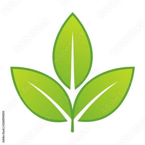 Green flat design leaf vector