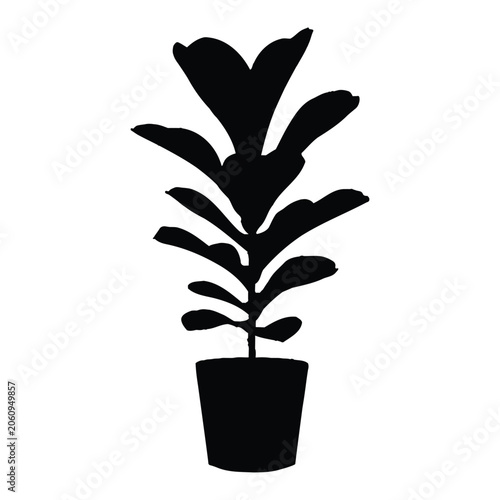 Indoor Plant on Window Sill Vector, Silhouette, Illustration
