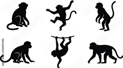 Konstfotografi Monkey silhouette pose collection illustration, primate animal activity and beha
