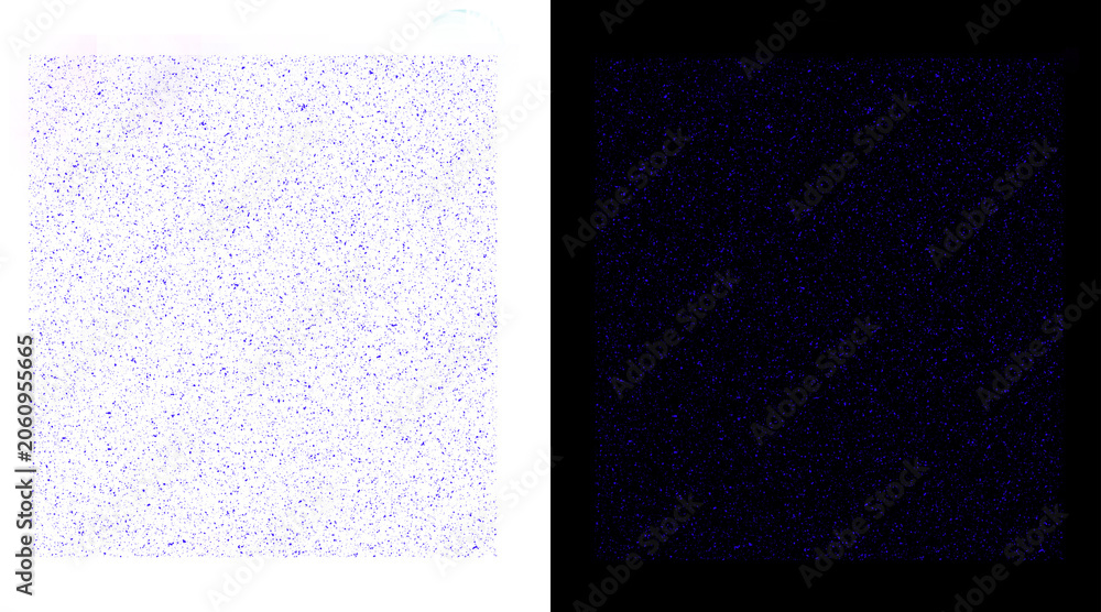 Fototapeta premium Microscopic view of cellular structures highlighted with fluorescent staining techniques