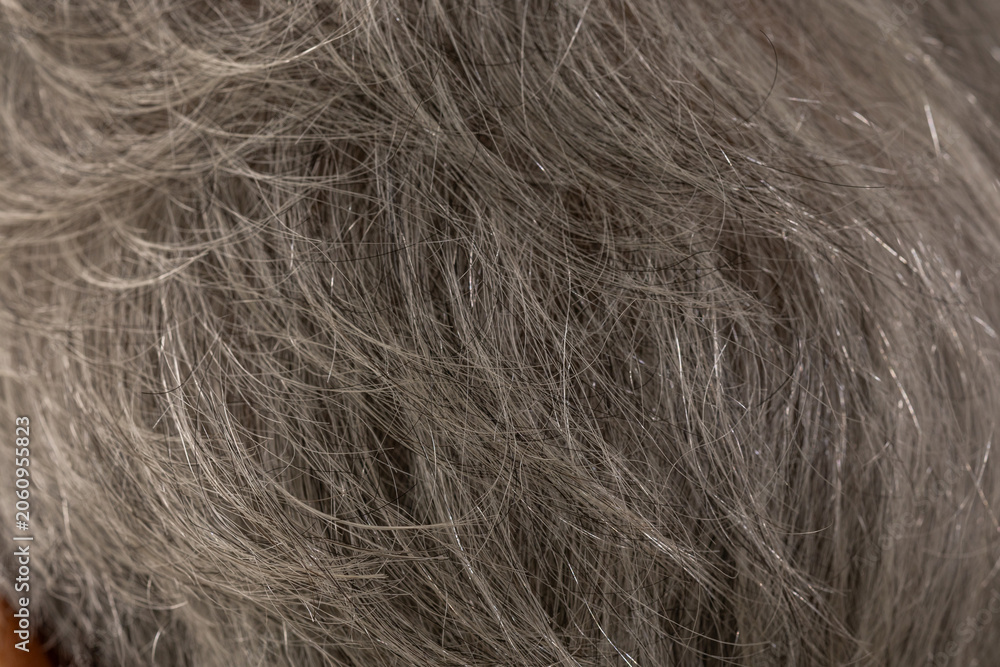 Naklejka premium Close-up of gray hair roots on a person's scalp. Detailed view of silver and white strands growing from the head, illustrating aging, genetics, hair care, and coloring treatment needs