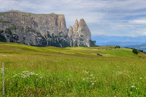 View over the alpine meadows towards the peaks of the Schlern on the Seiser Alm, Dolomites, South Tyrol, Italy.