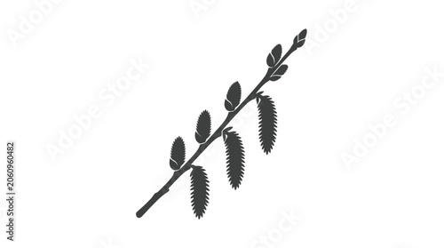Foto Pussy Willow Branch Silhouette Vector