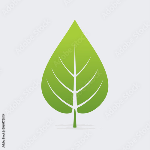 Green leaf icon