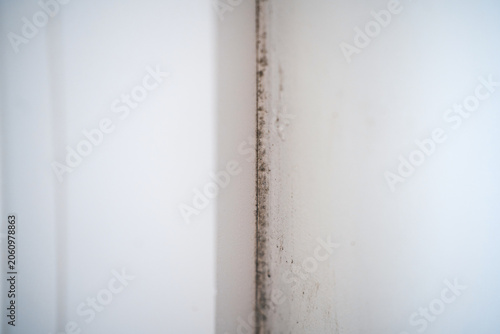 Water damage causing mold to grow on plaster