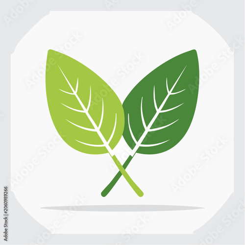 Two Green Leaves Icon