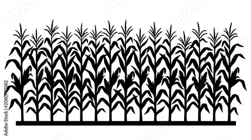 Black silhouette of a row of corn stalks on white background
