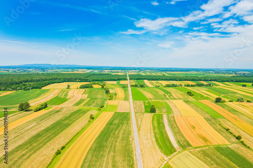 Corn fields in Veliki Zdenci agriculture area. Beautiful rural landscape in Daruvar region, Croatia.