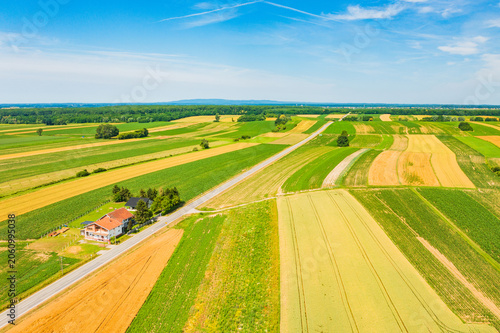 Corn fields in Veliki Zdenci agriculture area. Beautiful rural landscape in Daruvar region, Croatia.