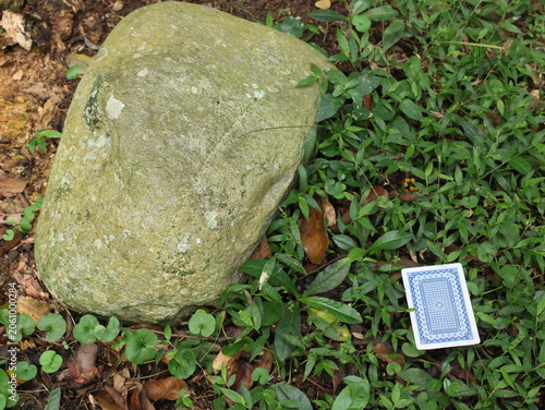 Tableau sur toile a playing card on the right on the grass