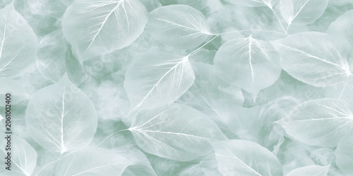 Bild auf Leinwand Green leaves on icy blue winter frost textured background with snow crystal patt