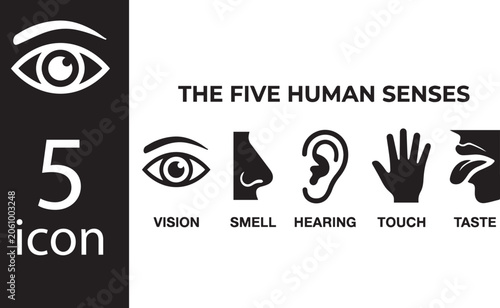 Human senses icon set for education, medical, science, anatomy, learning, awareness and creative