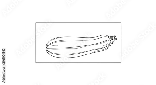 Zucchini Vegetable Drawing, Outline Illustration of a Fresh Zucchini
