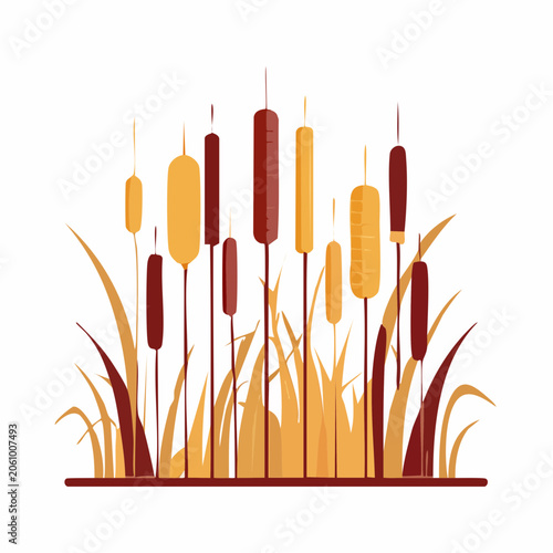 Illustration of Cattails and Reeds