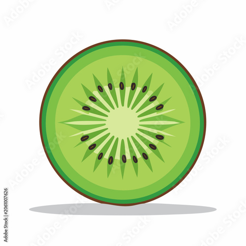 Slice of Kiwi Fruit Illustration