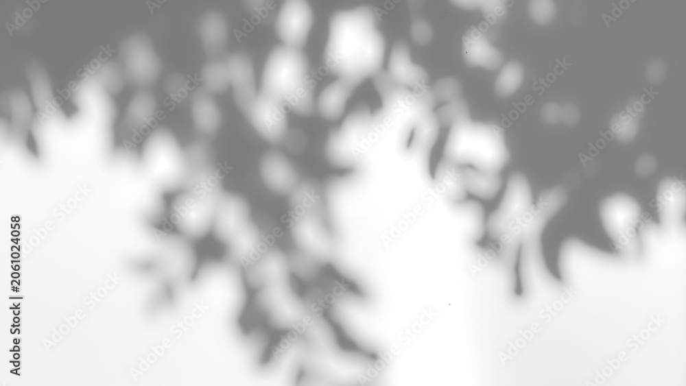 Obraz premium The shadow of a tree sways on a transparent background