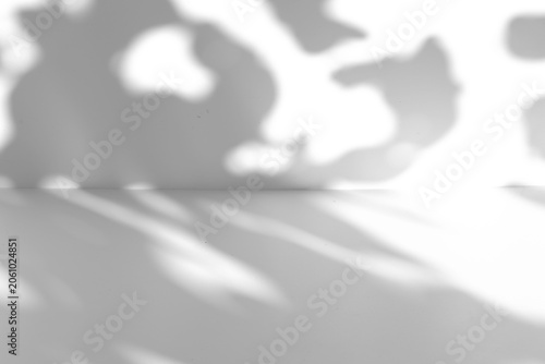 Tree leaf shadow overlay on the wall and floor isolated on a transparent background PNG